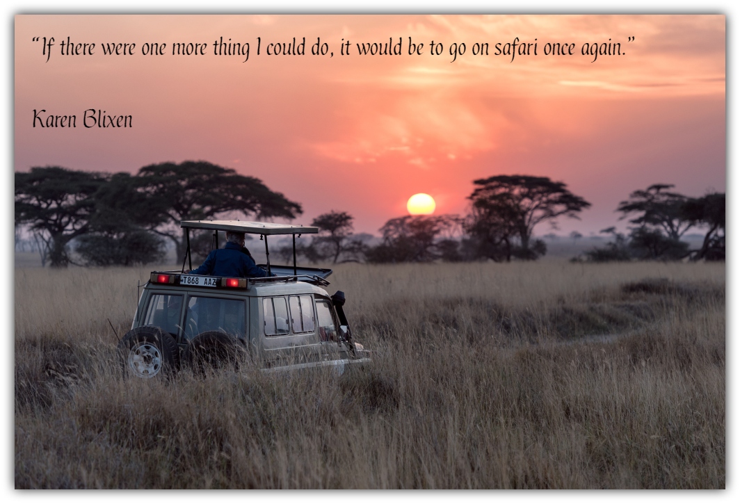 What drives you while planning for safaris?